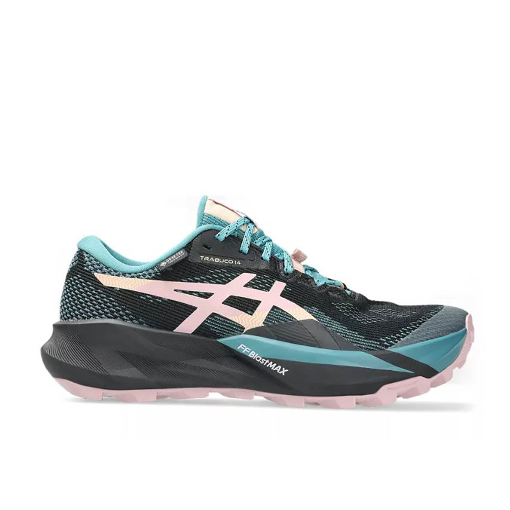 Asics Trabuco 14 GTX Black/Morganite