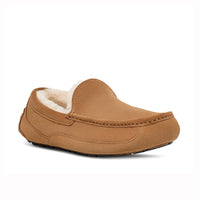 Ugg Ascot Chestnut