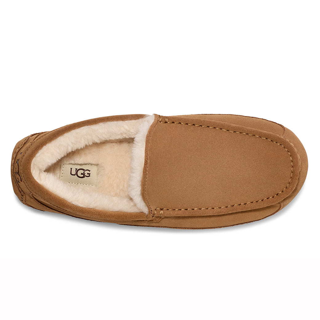 Ugg Ascot Chestnut