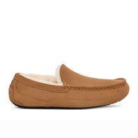 Ugg Ascot Chestnut