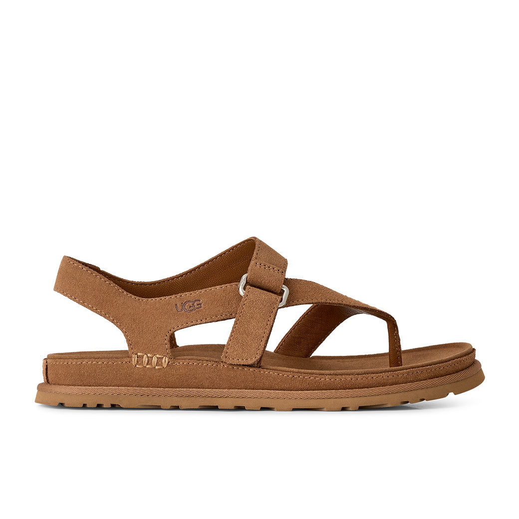 Ugg Goldengaze Toe Post Chestnut