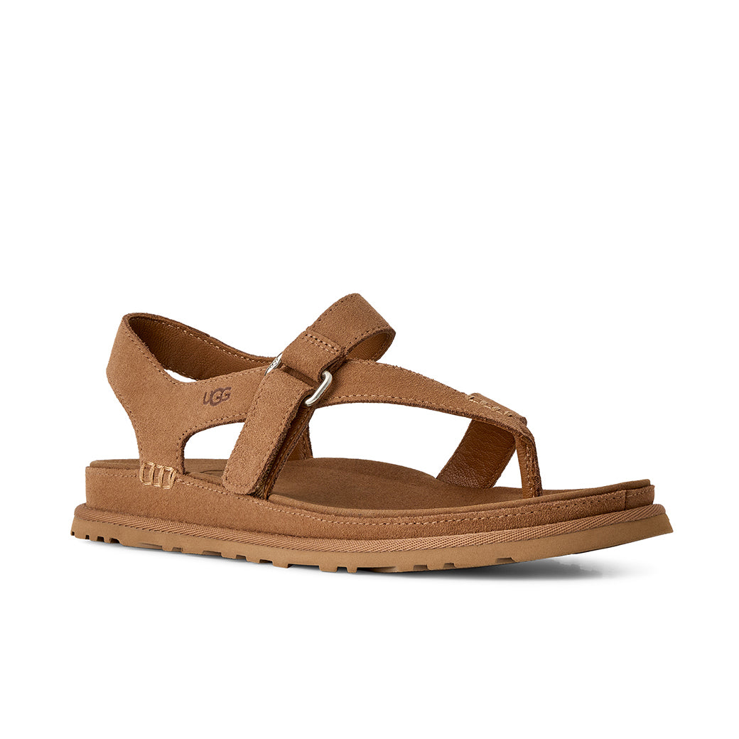 Ugg Goldengaze Toe Post Chestnut
