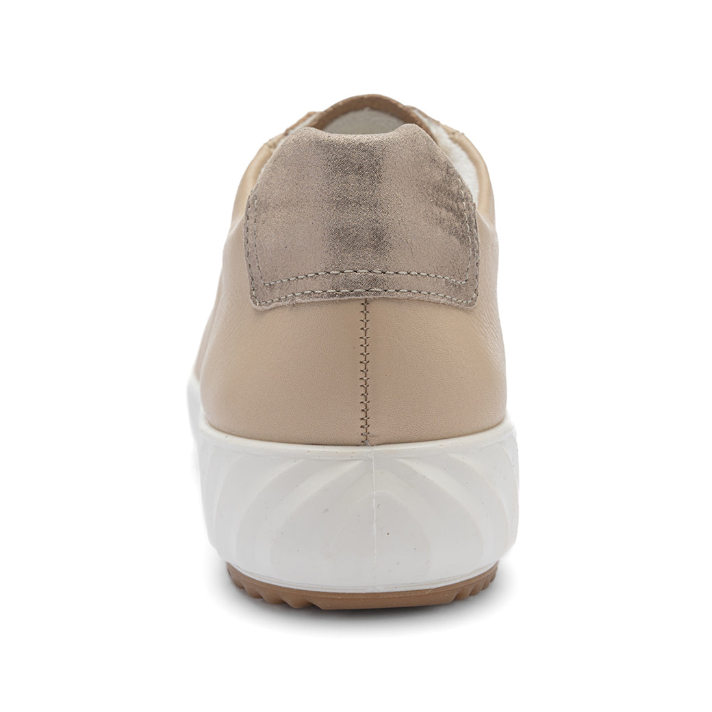 Ara Alexandria Beach/Shell