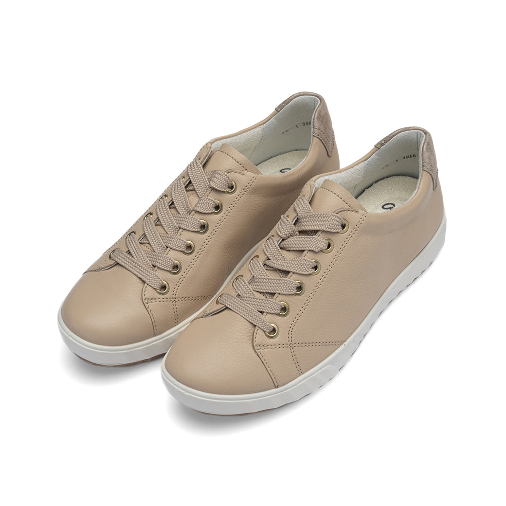 Ara Alexandria Beach/Shell