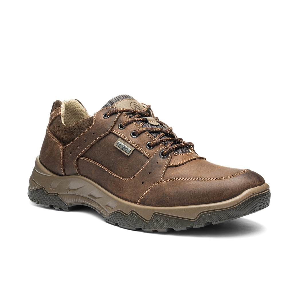 Ara Rheingau Brown