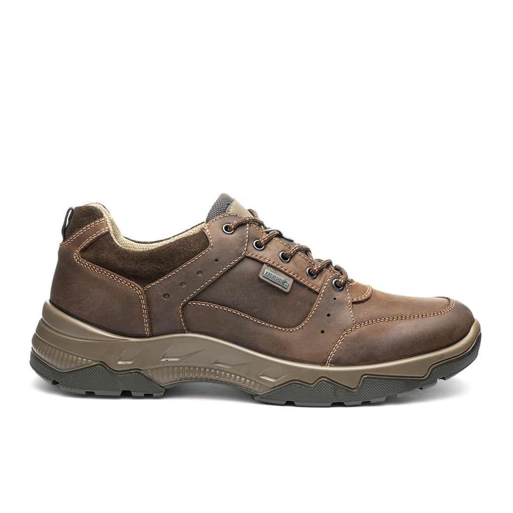 Ara Rheingau Brown