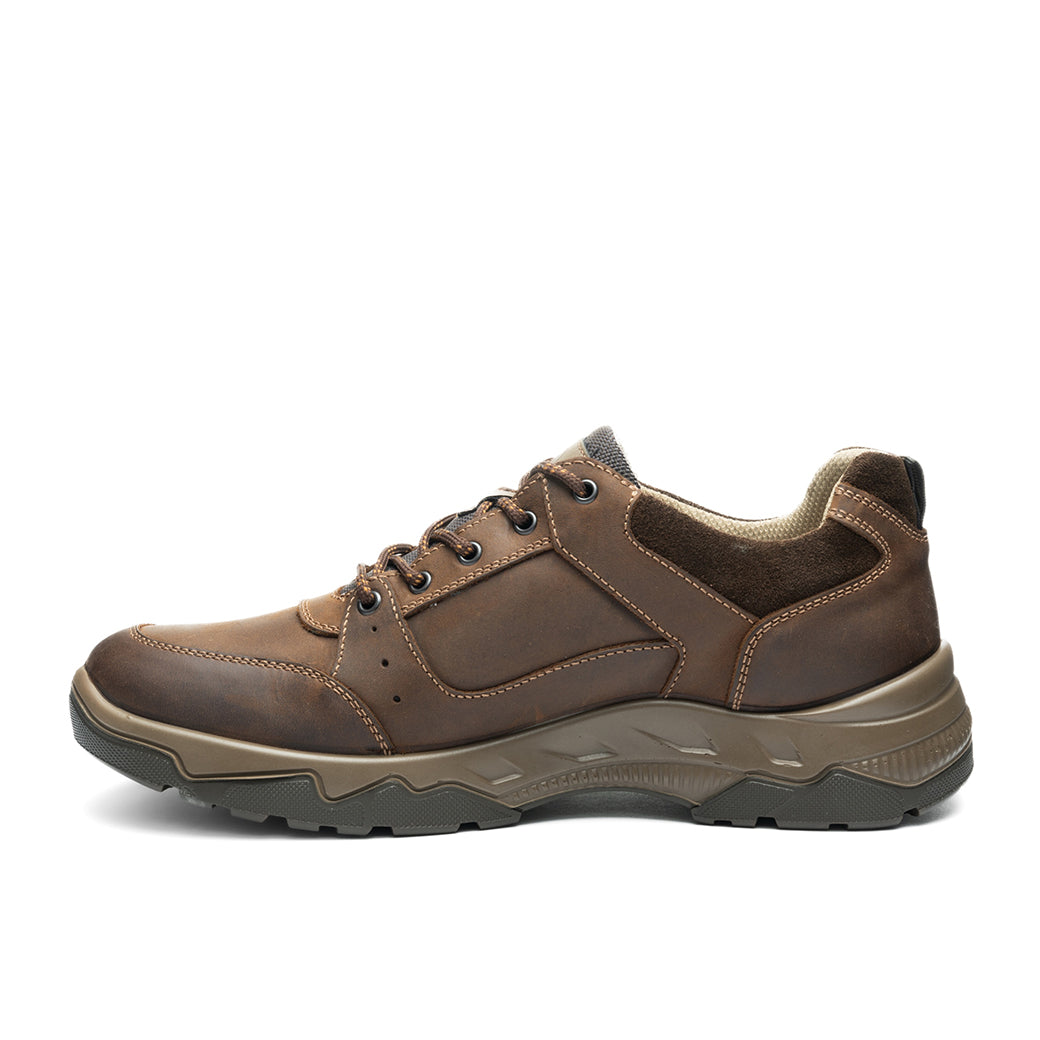 Ara Rheingau Brown