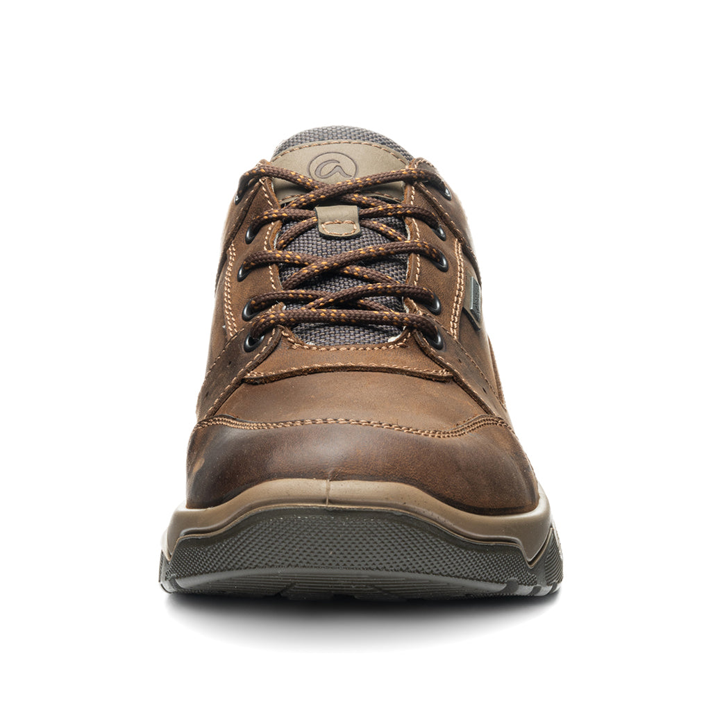 Ara Rheingau Brown