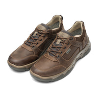 Ara Rheingau Brown