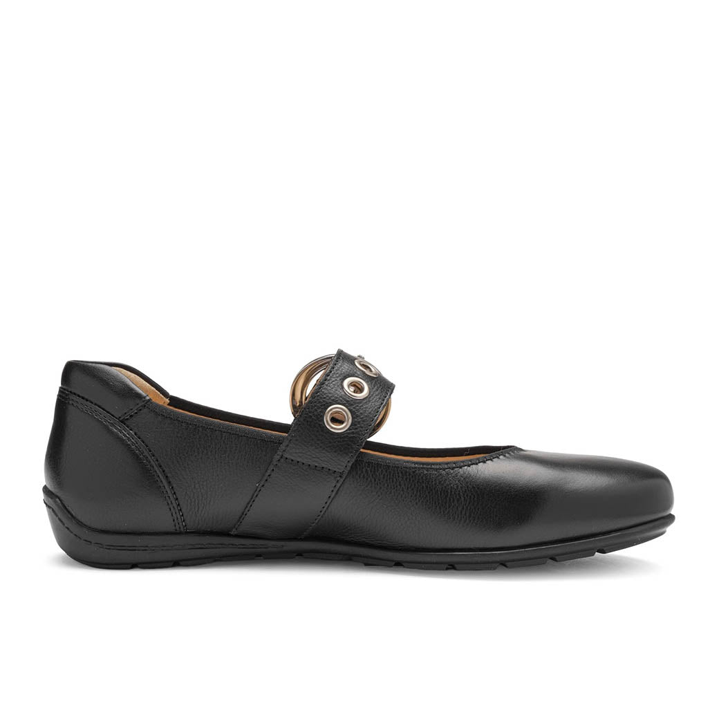 Ara Belgonia Black