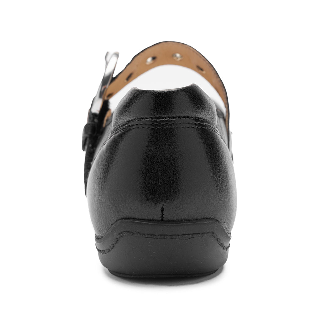 Ara Belgonia Black
