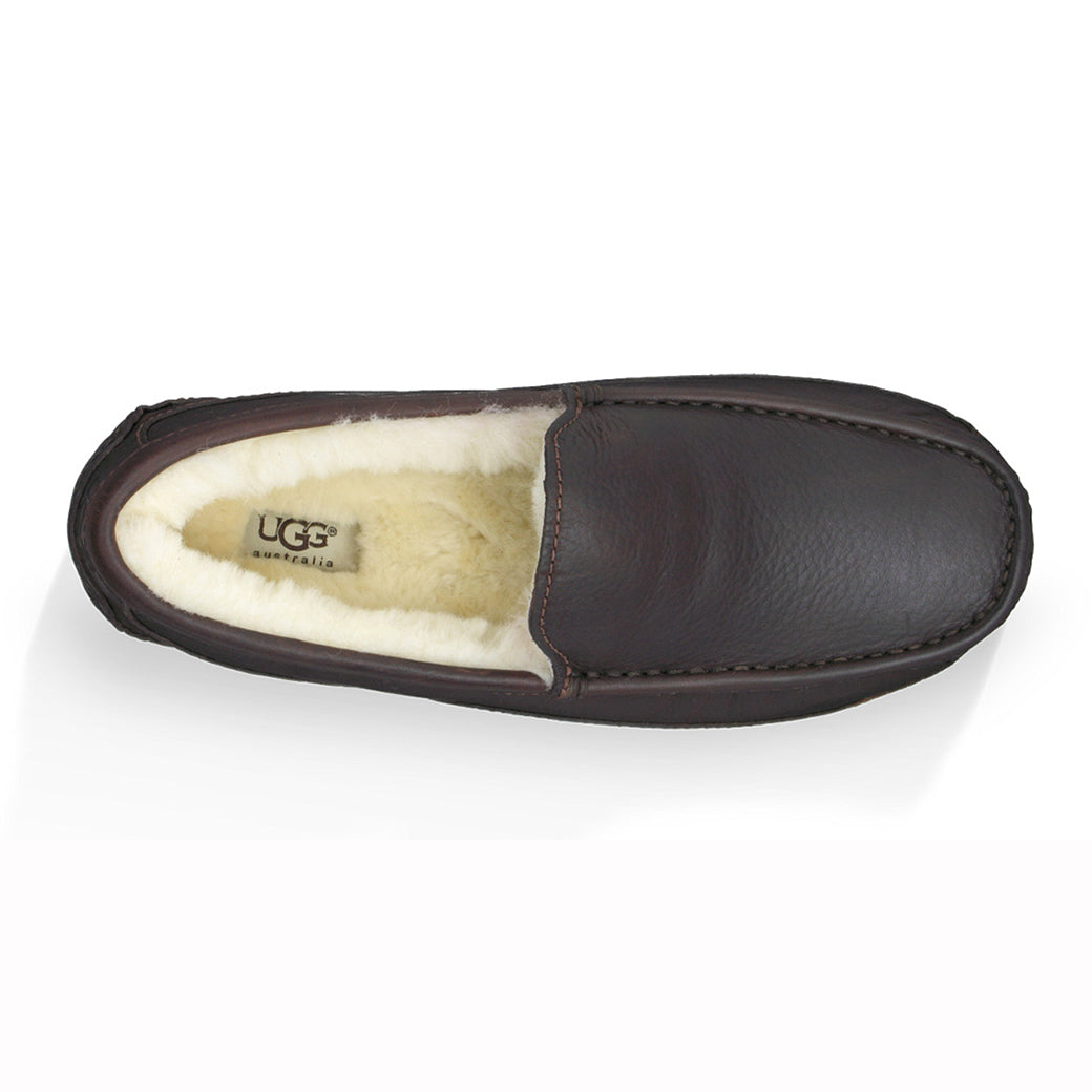 Ugg Ascot Dark Spice