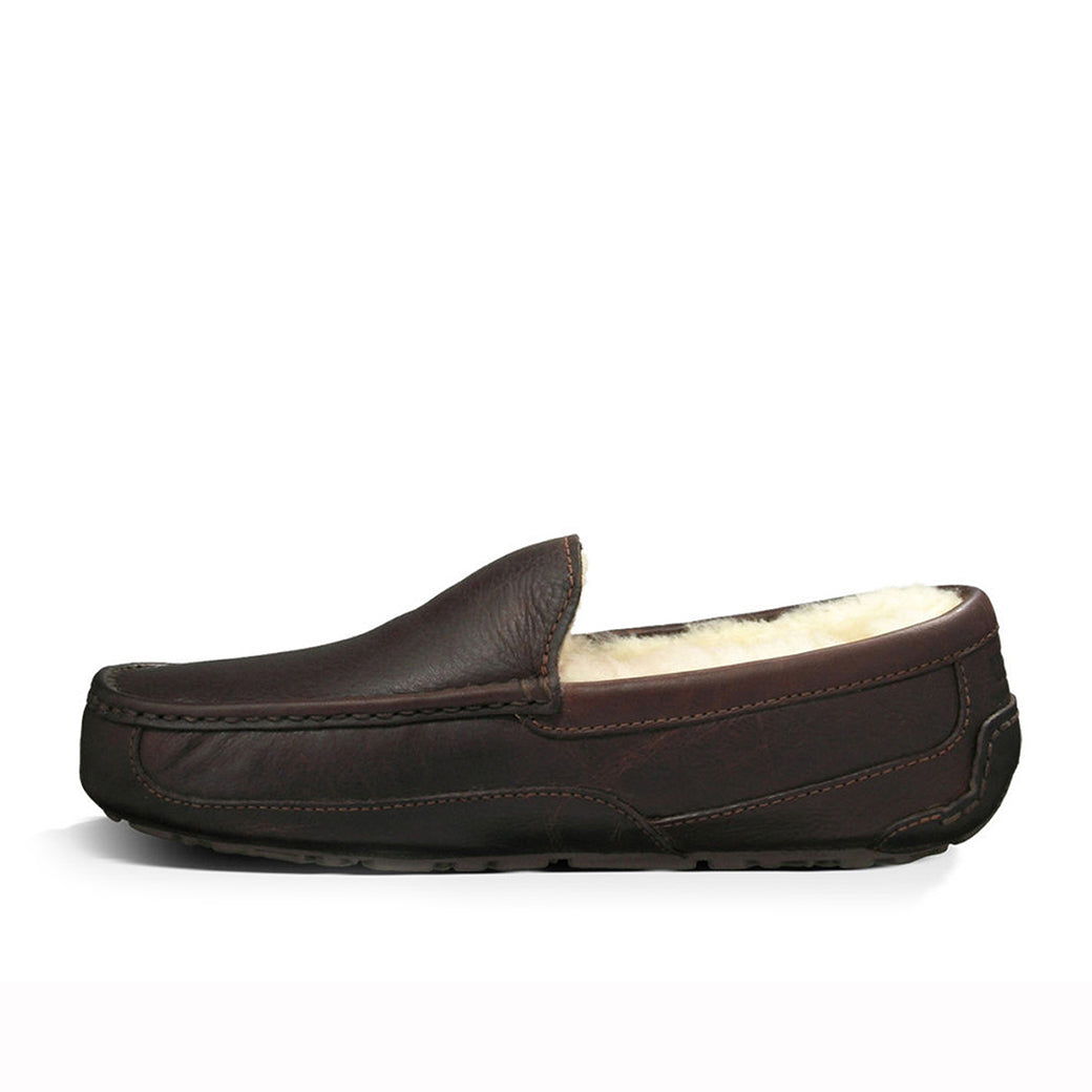 Ugg Ascot Dark Spice