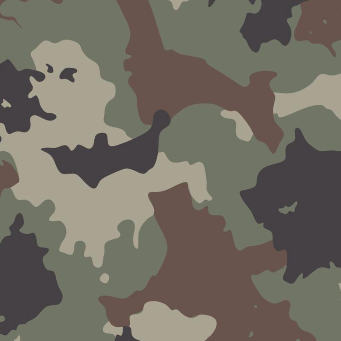 Camouflage