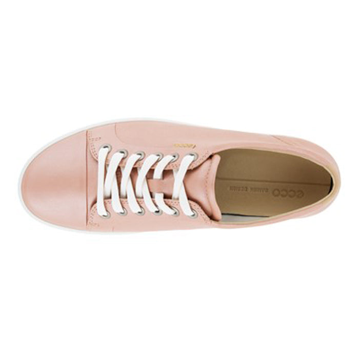Women's Ecco Soft 7 Sneaker in Tuscany | Lucky Shoes